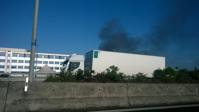 Foto di Newsgo