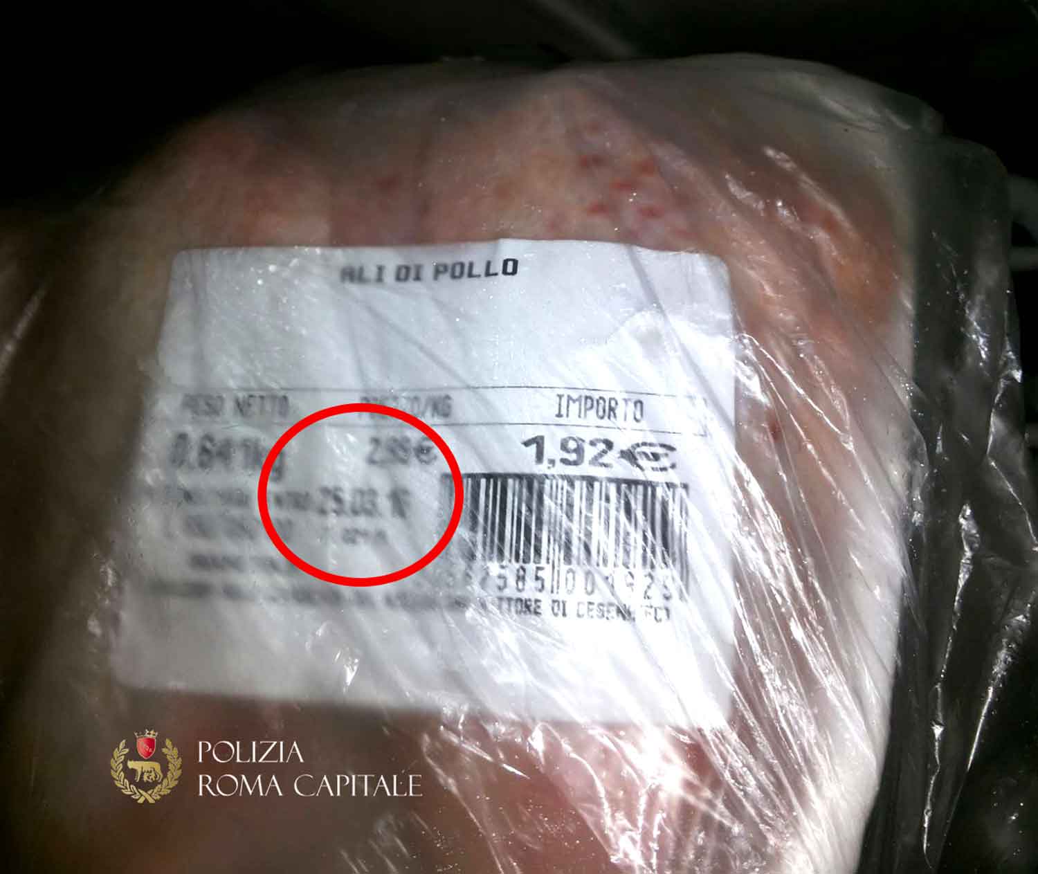 foto6