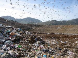 comitato del risanamento ambientale comitato del risanamento ambientale