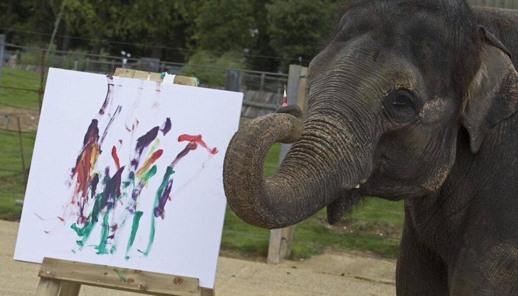 Karishma, l'elefante pittore