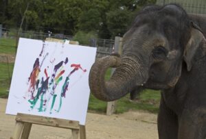 Karishma, l'elefante pittore