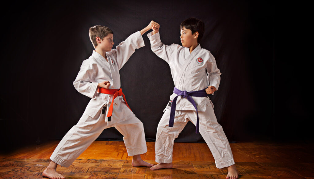 karate fortitudo monteporzio karate fortitudo monteporzio