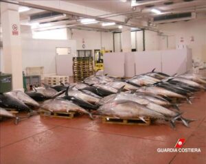 sequestro di tonni sequestro di tonni