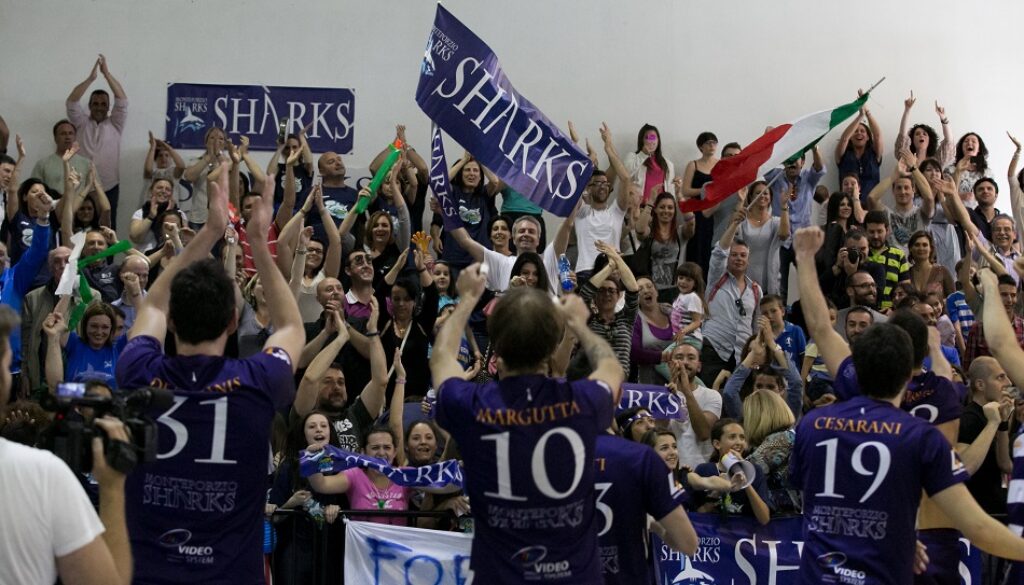 monteporzio sharks b2