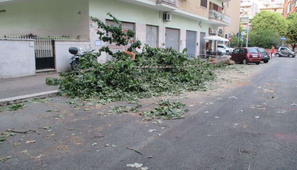 via albona condizioni pietose 01