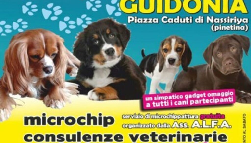 Dog Village 2014 Guidonia-