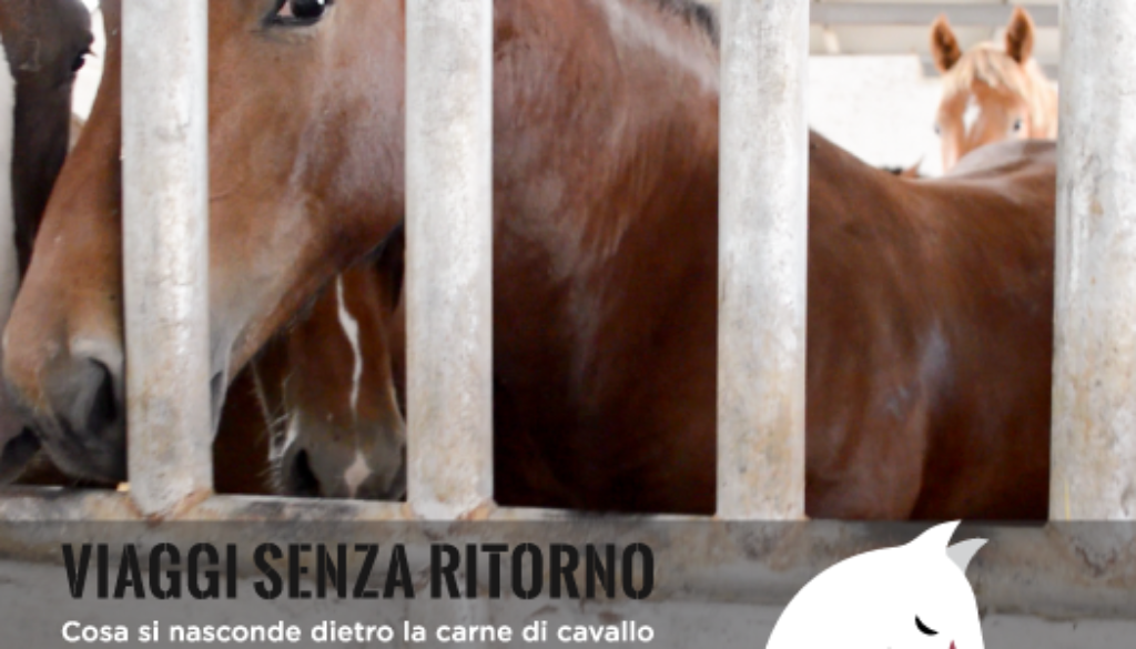 Essere Animali