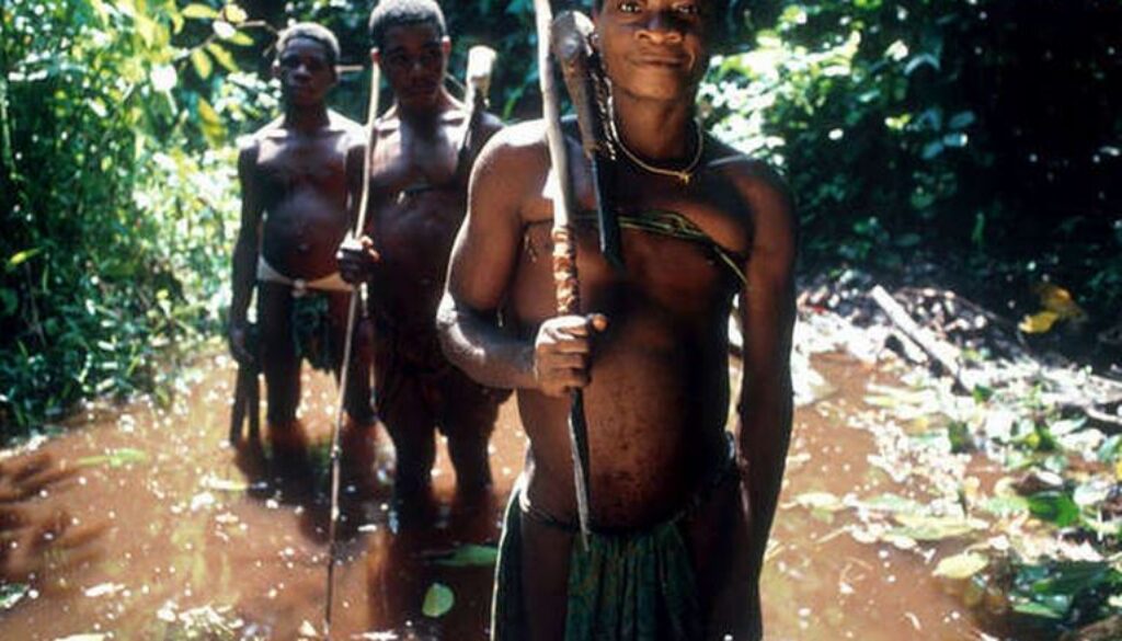 survival international