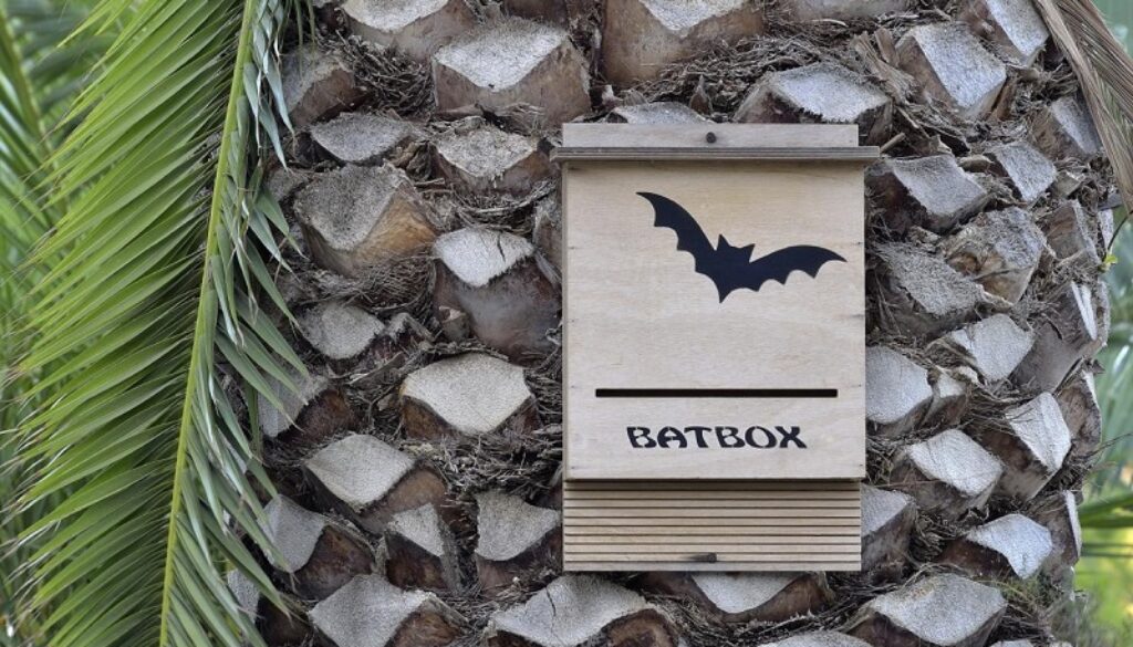 bat box a Pomezia
