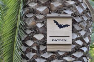 bat box a Pomezia
