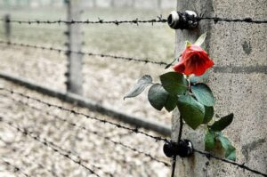 giornata della memoria giornata della memoria