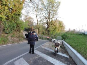 incidente durante una potatura a Genzano