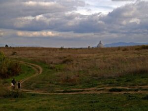 OLYMPUS DIGITAL CAMERA OLYMPUS DIGITAL CAMERA