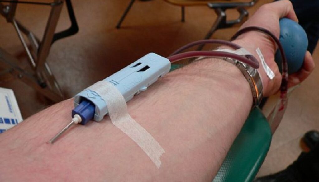 vietata donazione del sangue ai gay