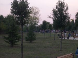 Parco Angelo Musco