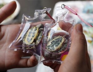 A woman checks turtles in small plastic bags before buying them from a vendor at a shopping district in Beijing