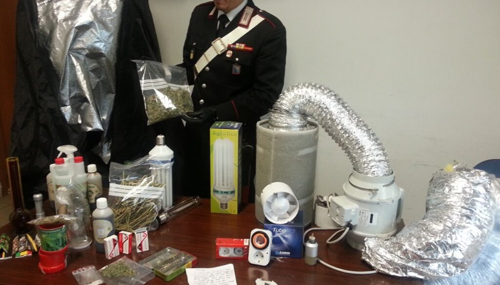 arrestato coltivatore indoor di marijuana al Testaccio