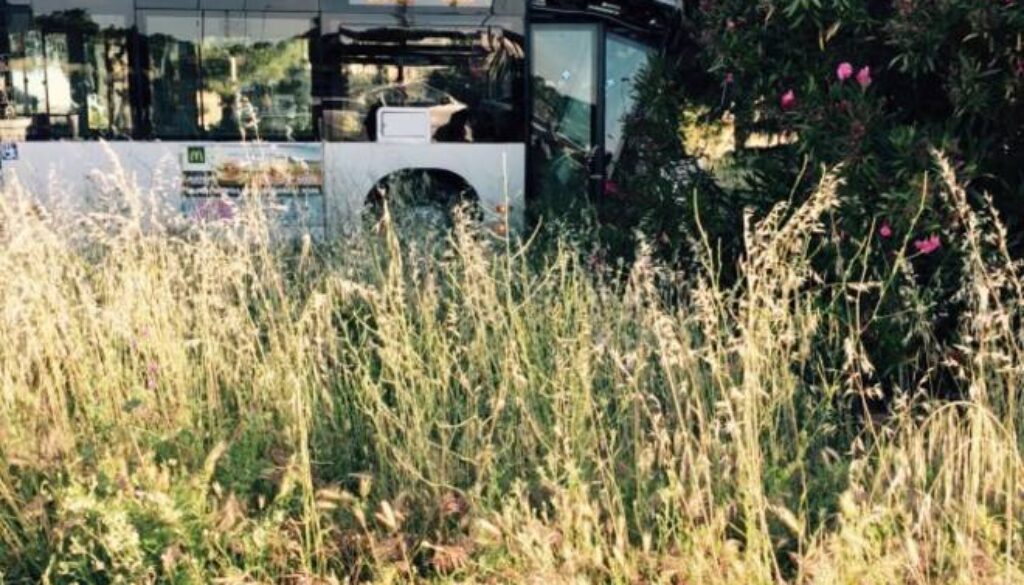 bus si schianta contro un pino a Torre Spaccata
