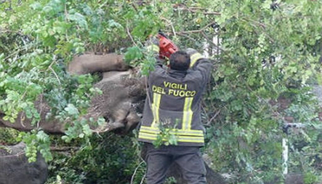 chiusa al traffico via Martino per taglio alberi pericolanti