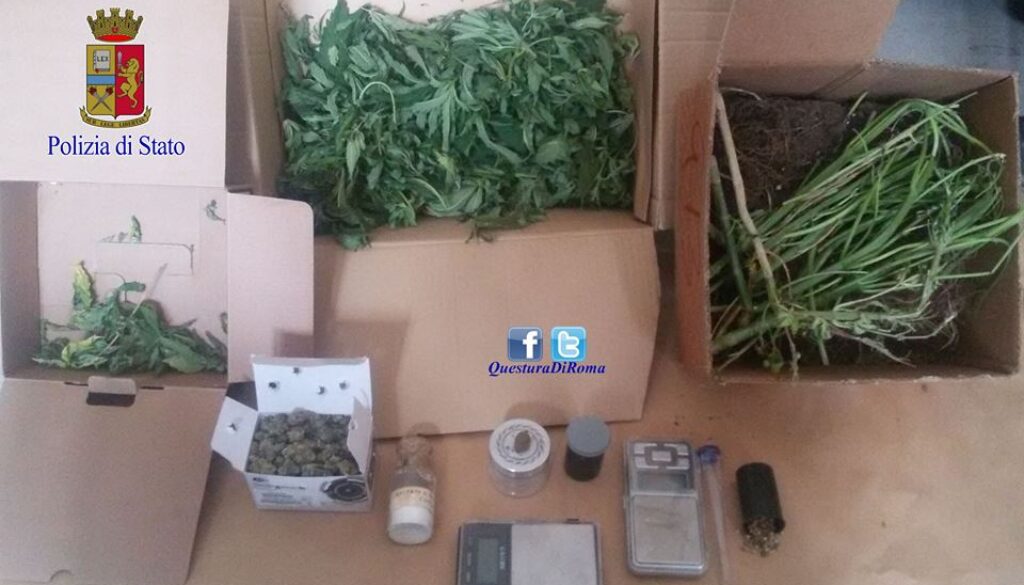 nascondeva piante di marijuana in balcone a Corviale