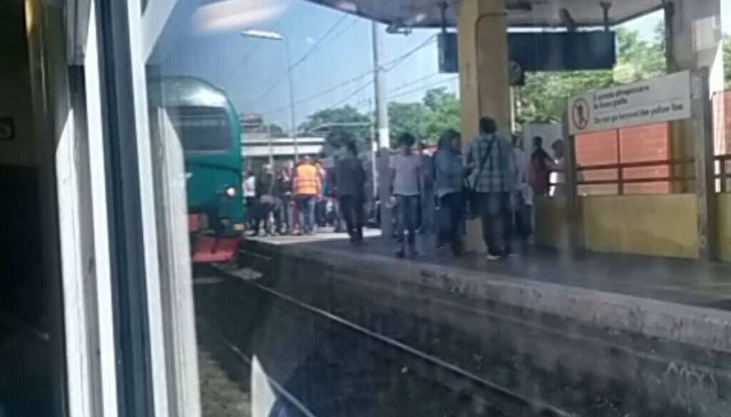 novuo salario treno