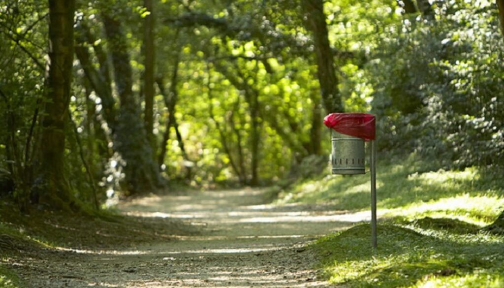 salvate ragazze dai Vigili del Fuoco disperse nel bosco a Cerveteri