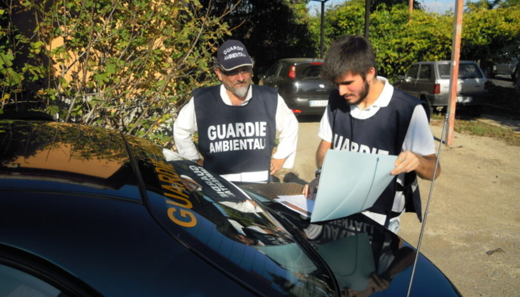 scarica rami e rifiuti vicino alle campane del vetro ad Ardea
