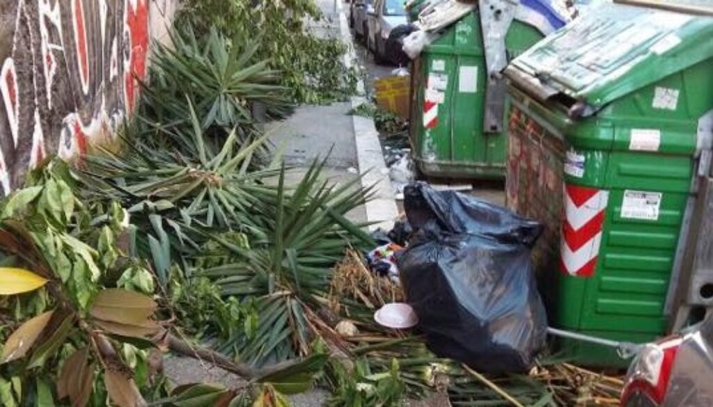 via Contardo Ferrini Municipio VII immagine rifiuti