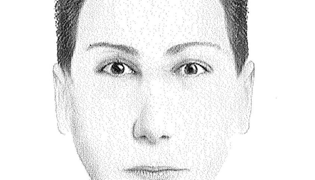 wpid-identikit-aggressore-tassista.jpg