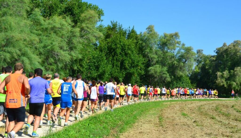 Leonardo Airport For Run