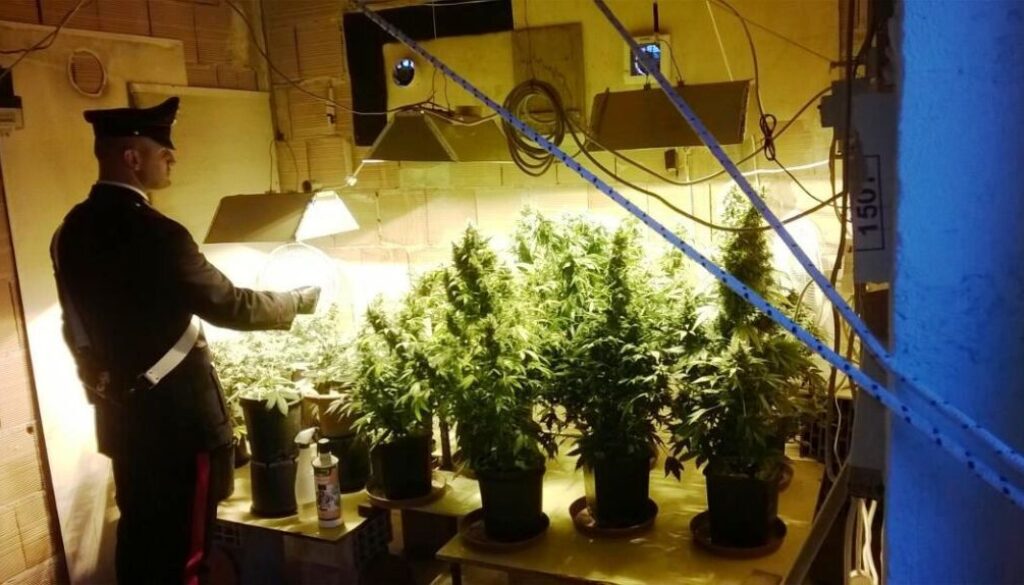 controlli antidroga a Tor Vergata, Romanina e Giardinetti