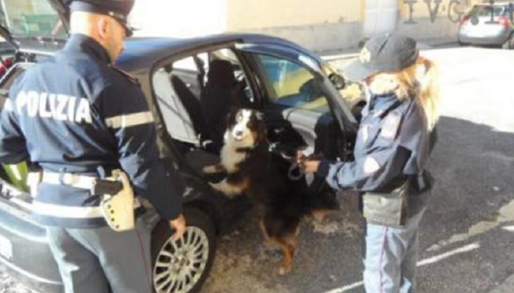 droga sotto il sedile