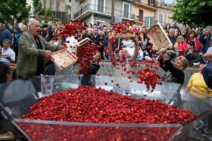sagra delle fragole di nemi
