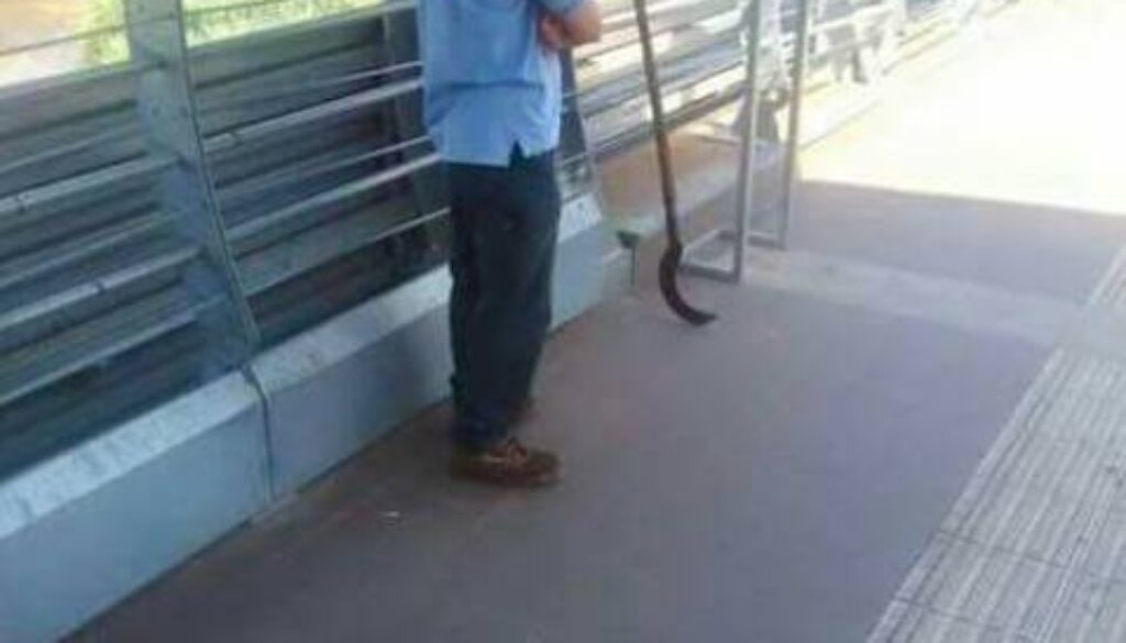 in treno con la falce