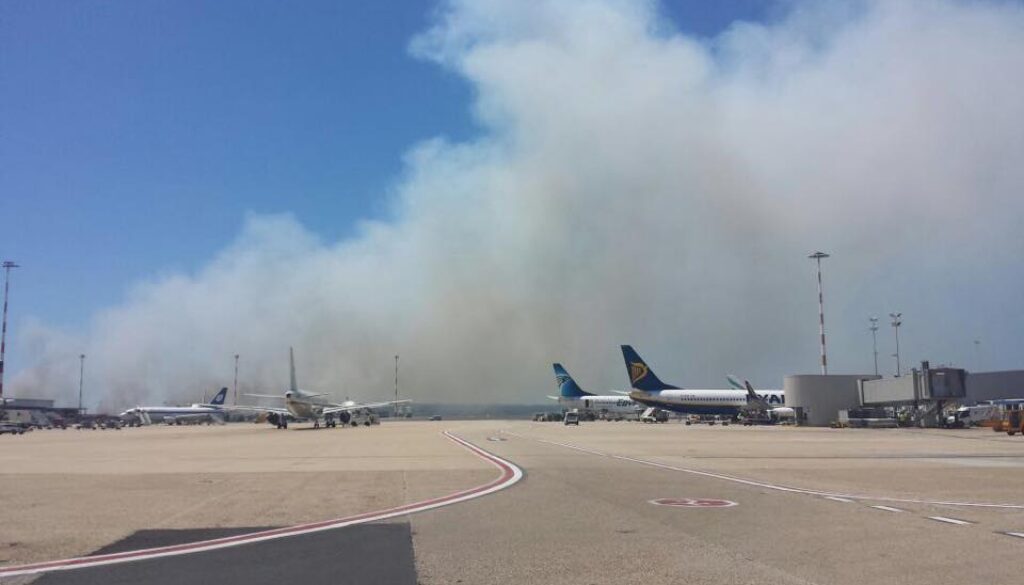 incendio nella pineta di Focene