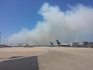 incendio nella pineta di Focene