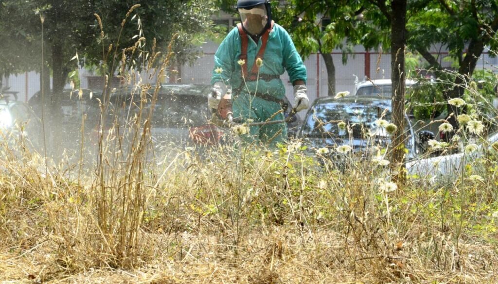 DECORO, AL VIA LAVORI SFALCIO ERBA DEL PIANO ANTI-INCENDI - FOTO 6