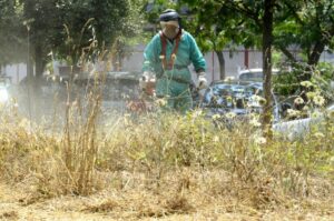 DECORO, AL VIA LAVORI SFALCIO ERBA DEL PIANO ANTI-INCENDI - FOTO 6