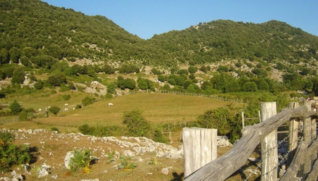 Festa della Montagna a Carpineto Romano