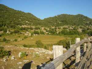 Festa della Montagna a Carpineto Romano