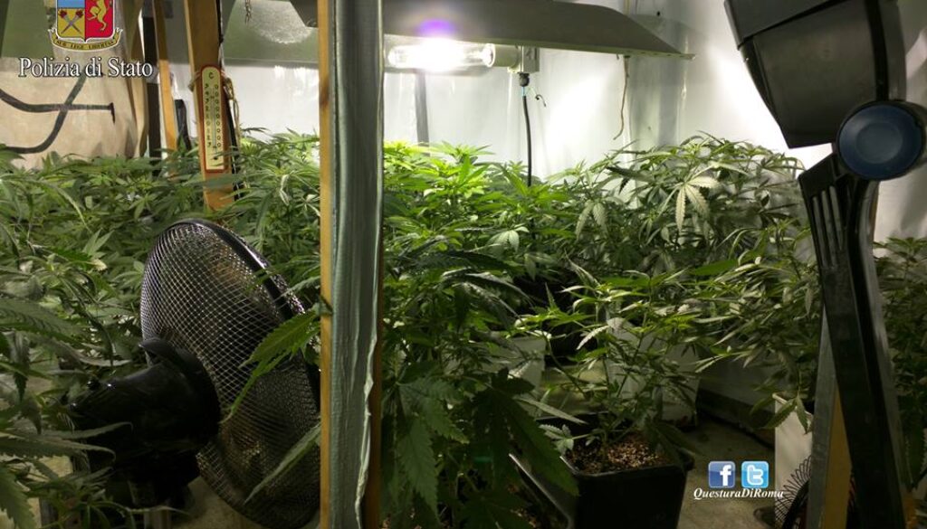 copre l'odore della marijuana col deodorante a Casal del Marmo