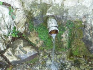 fonte egeria