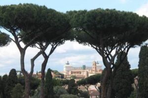 Il Campidoglio deve piantare gli alberi nel periodo giusto