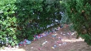 Il degrado di piazza Federico Zeri a Fonte Nuova