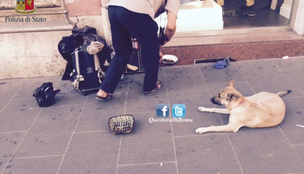 Maltrattano due cani per fare l'elemosina a via Nazionale Maltrattano due cani per fare l'elemosina a via Nazionale