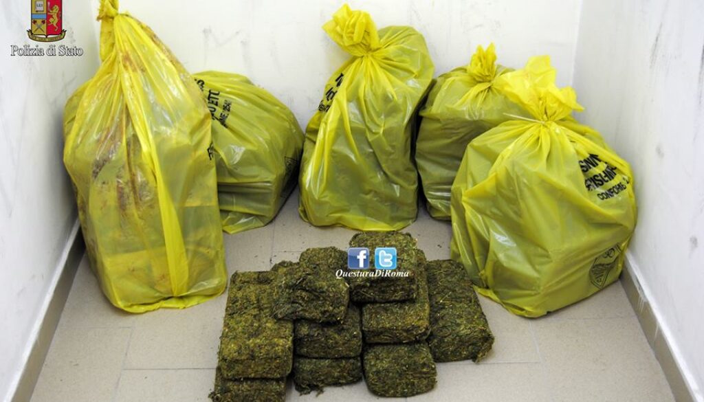 scoperto un deposito con 500 chili di droga ad Ardea