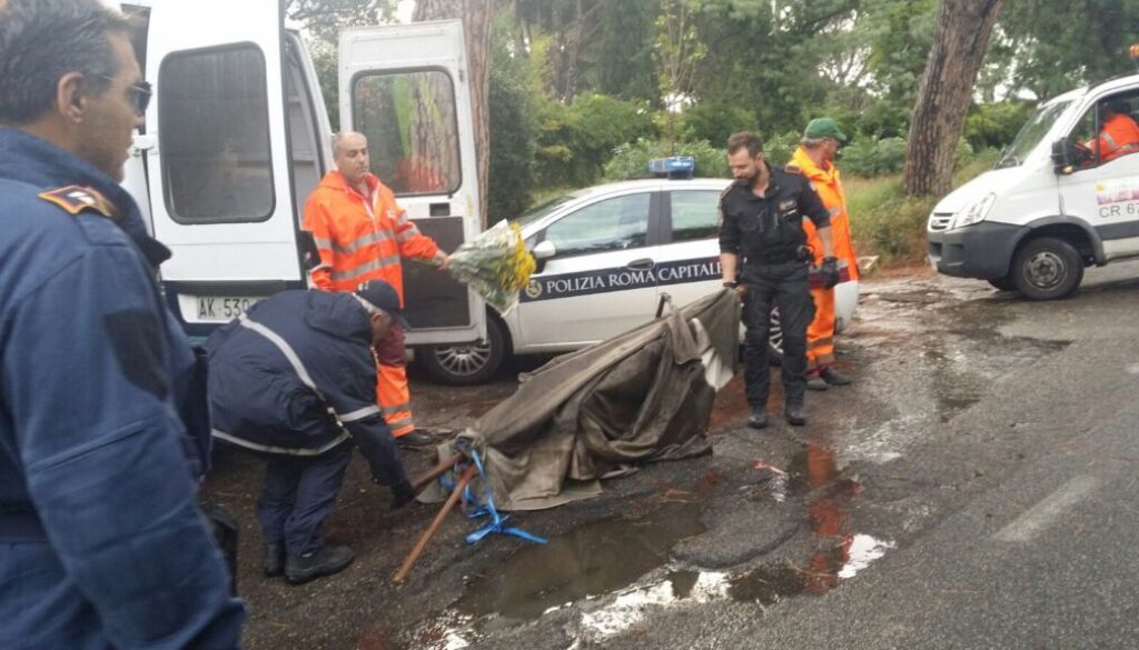 Blitz contro i fiorai abusivi al Cimitero Flaminio