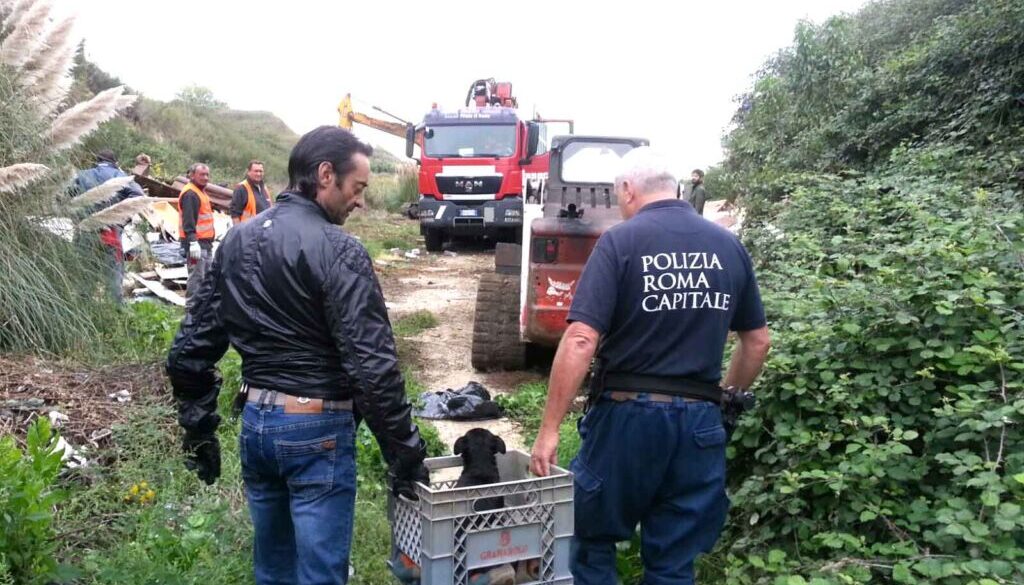 Sgomberate baracche abusive alla Muratella