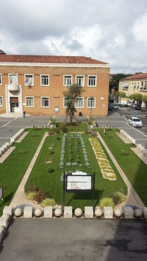 rsz_1rsz_piazza