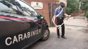 rsz_il_monopattino_utilizzato_dal_rapinatore_per_tentare_la_fuga
